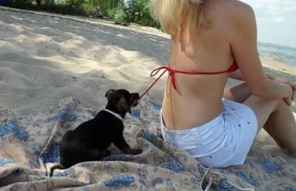 포스트의 이미지