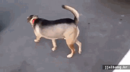 포스트의 이미지