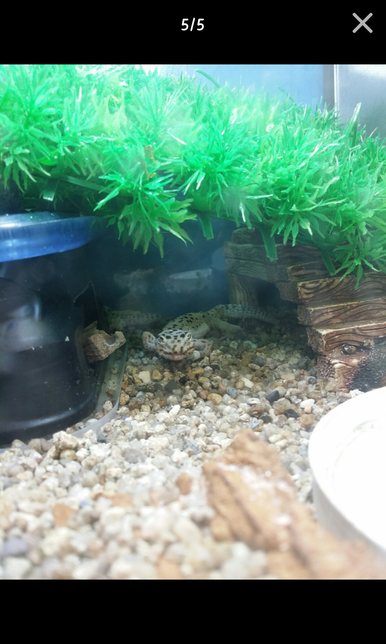 포스트의 이미지