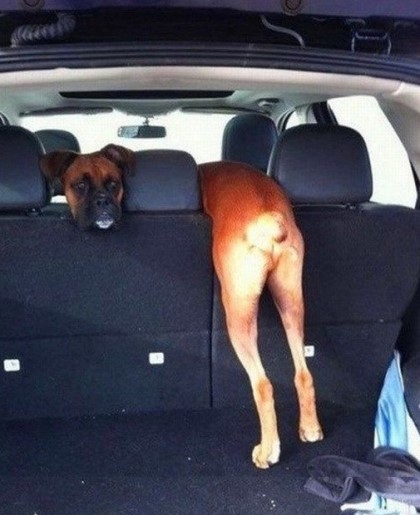 포스트의 이미지