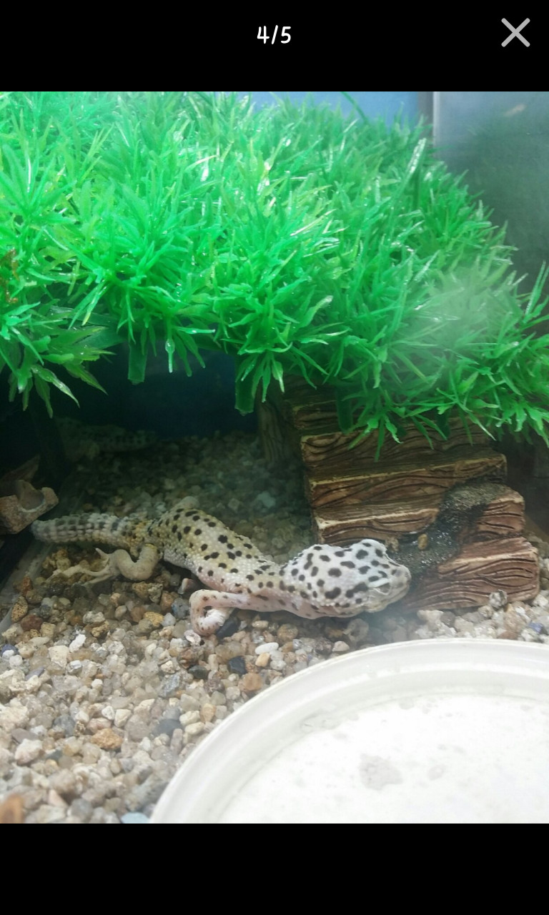 포스트의 이미지