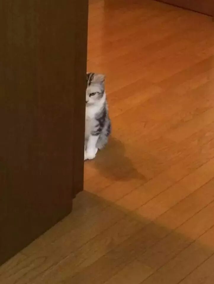 포스트의 이미지