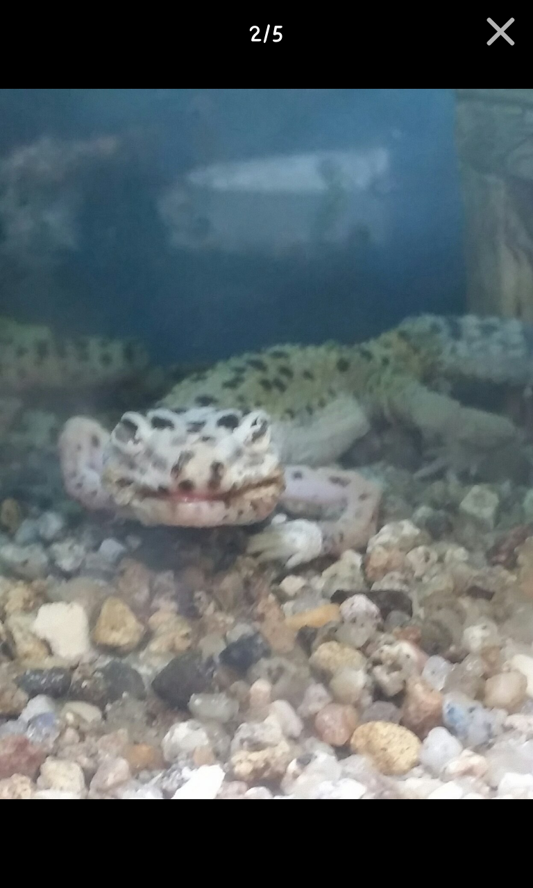 포스트의 이미지