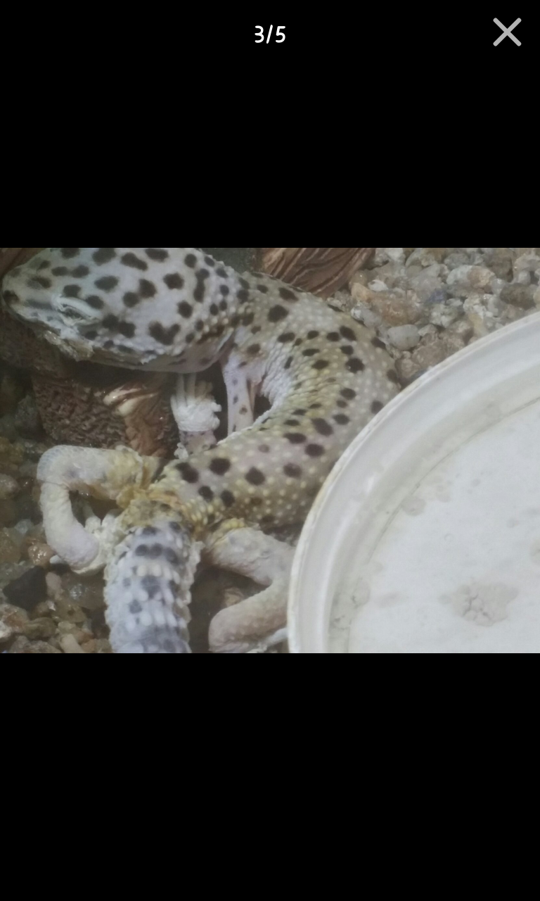 포스트의 이미지