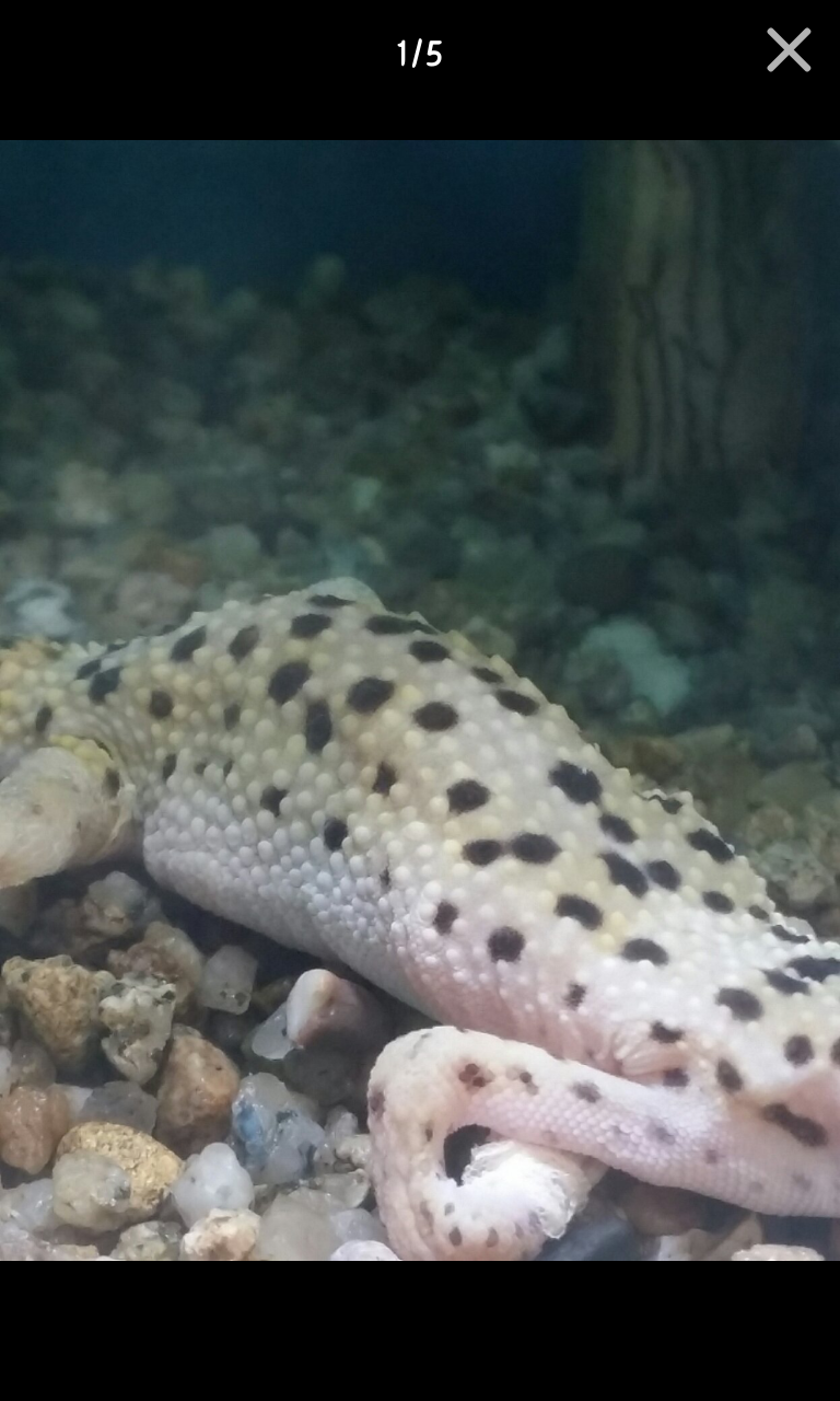 포스트의 이미지