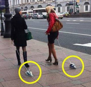 포스트의 이미지