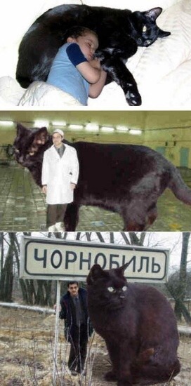 포스트의 이미지