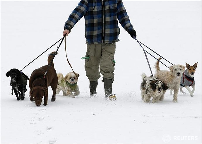 포스트의 이미지