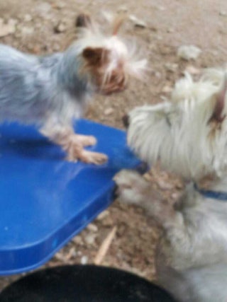 포스트의 이미지