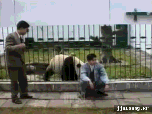 포스트의 이미지