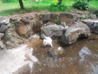 포스트의 이미지