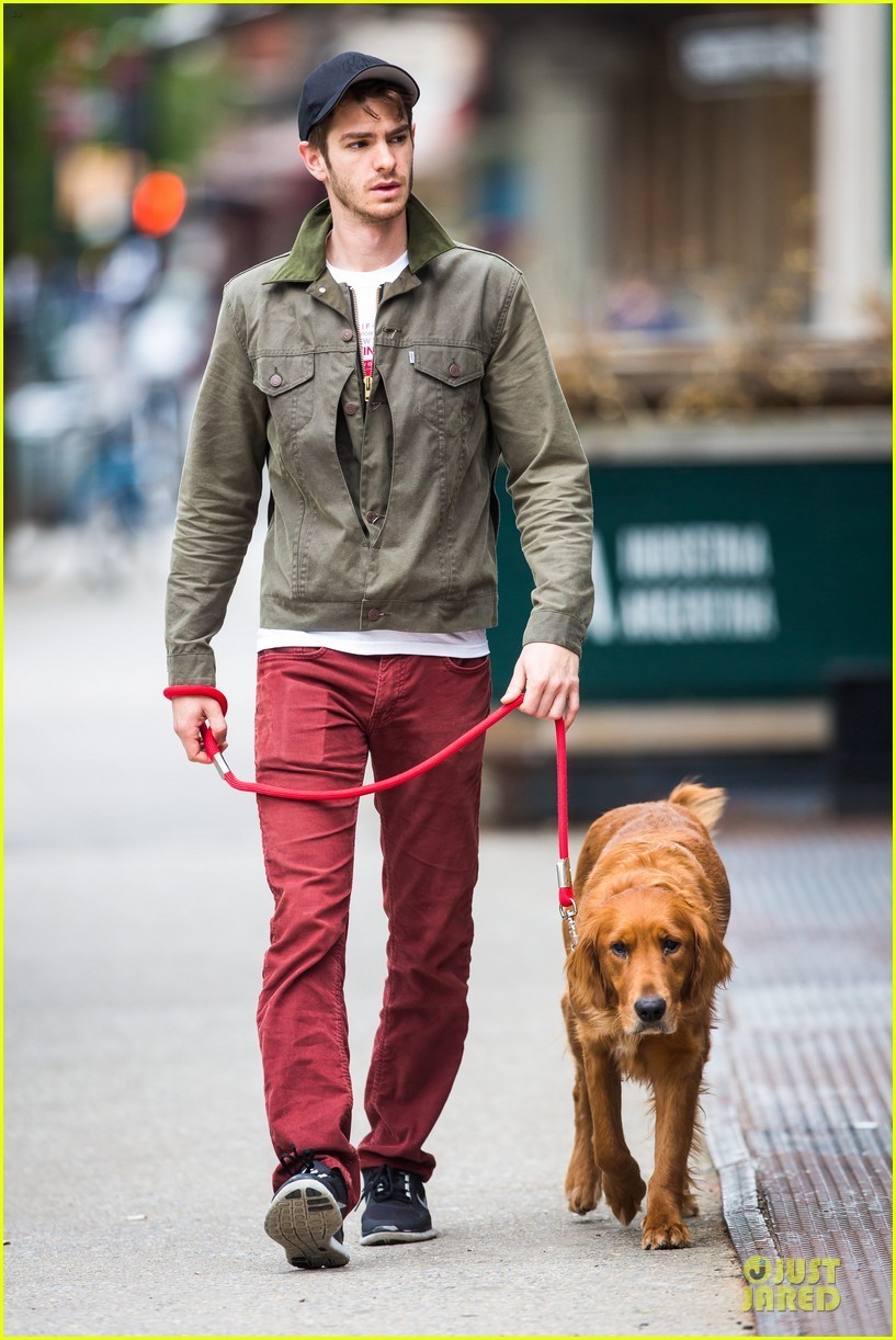 포스트의 이미지