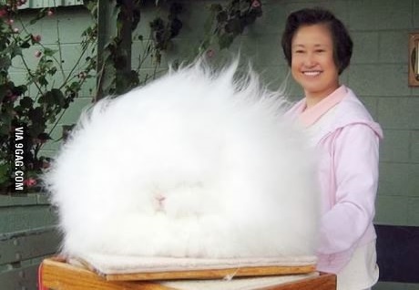 포스트의 이미지