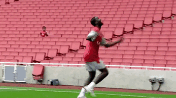 포스트의 이미지