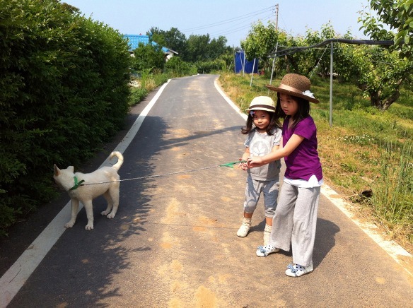 포스트의 이미지