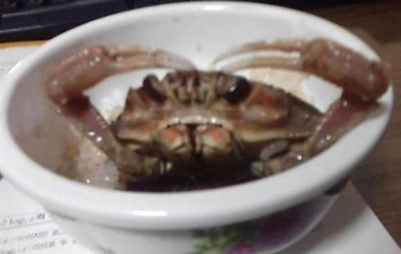 포스트의 이미지