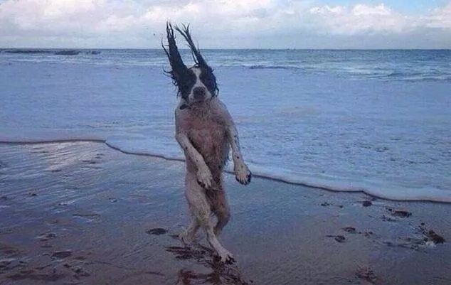 포스트의 이미지