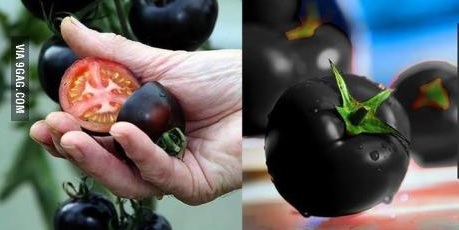 포스트의 이미지