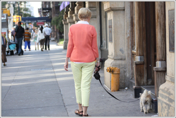 포스트의 이미지