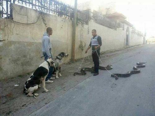 포스트의 이미지