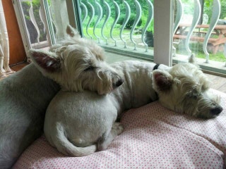 포스트의 이미지