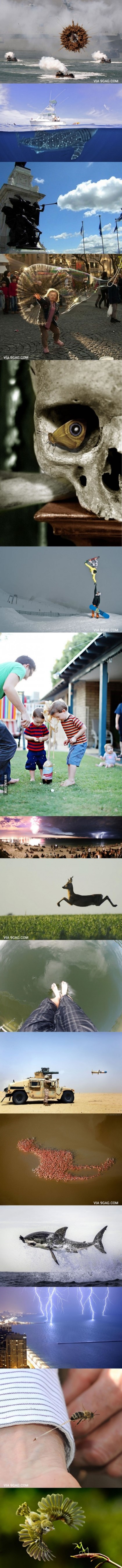 포스트의 이미지