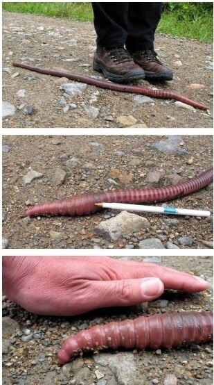 포스트의 이미지