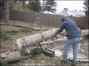 포스트의 이미지