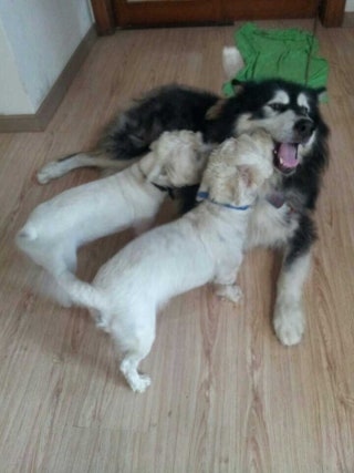 포스트의 이미지