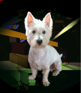 포스트의 이미지