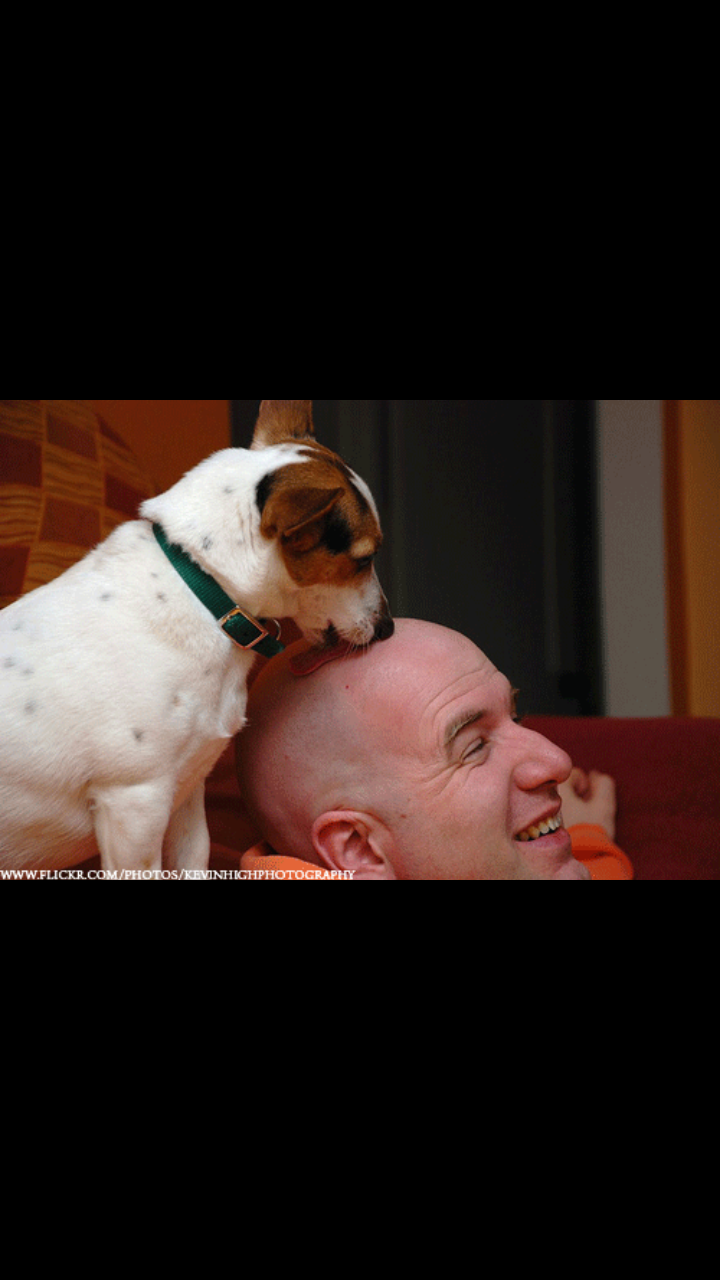 포스트의 이미지