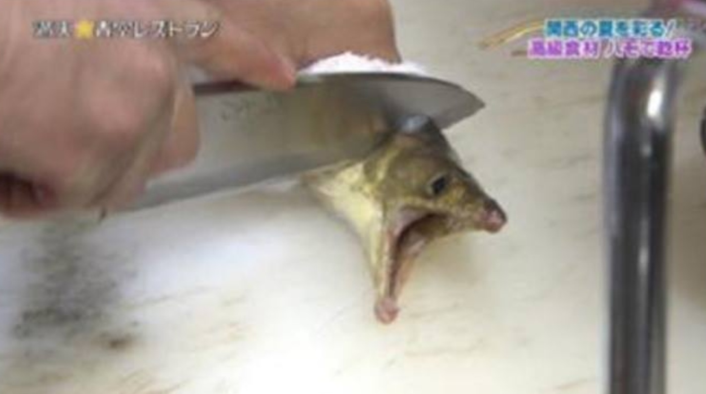 포스트의 이미지