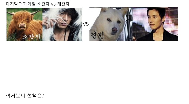 포스트의 이미지