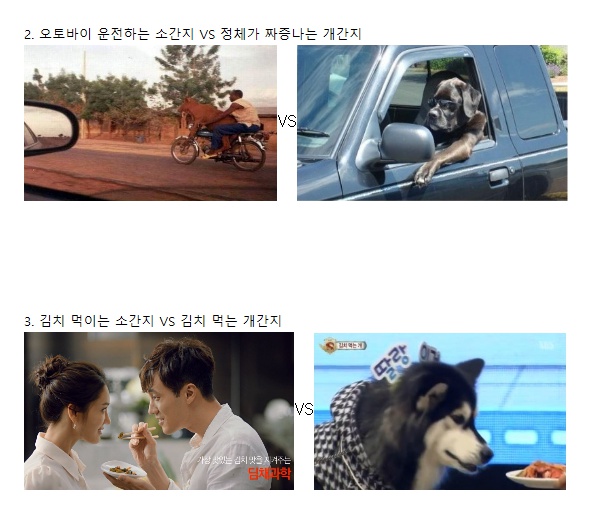 포스트의 이미지