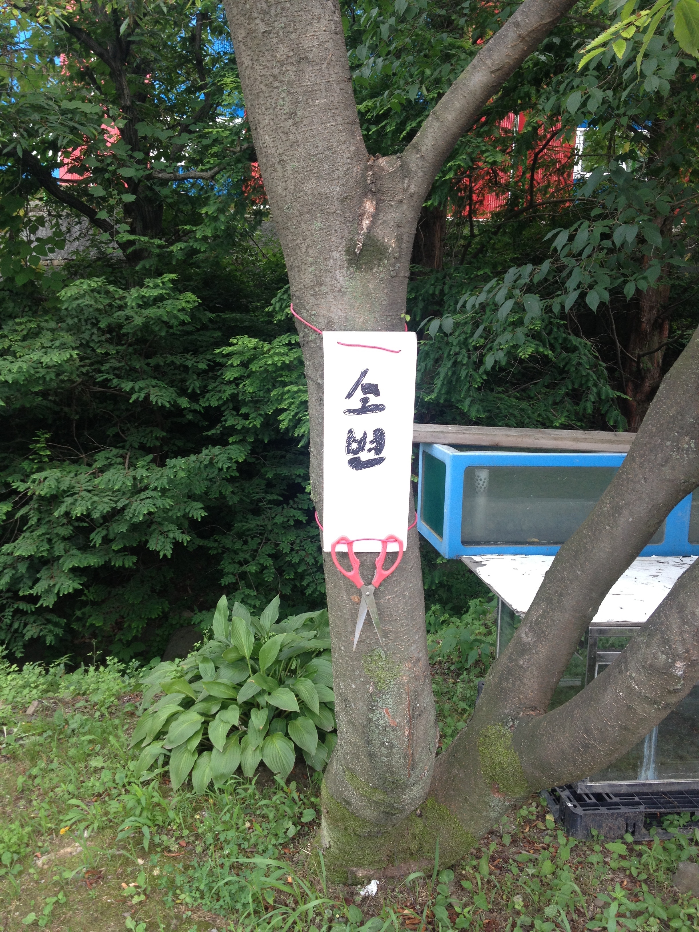 포스트의 이미지