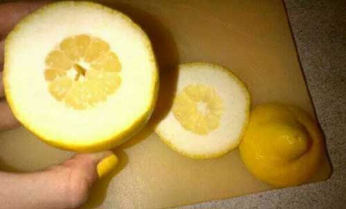 포스트의 이미지