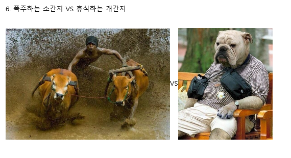 포스트의 이미지