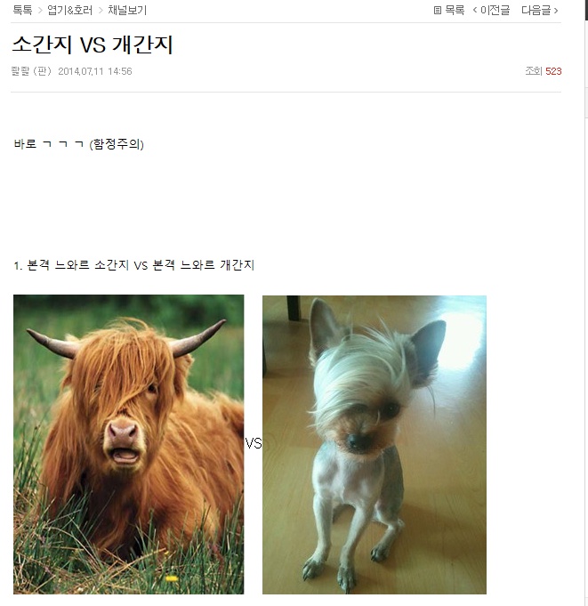 포스트의 이미지