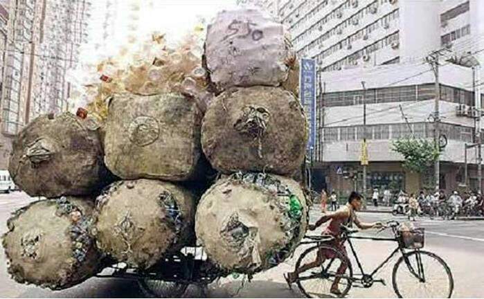 포스트의 이미지