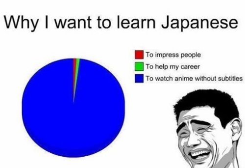 포스트의 이미지