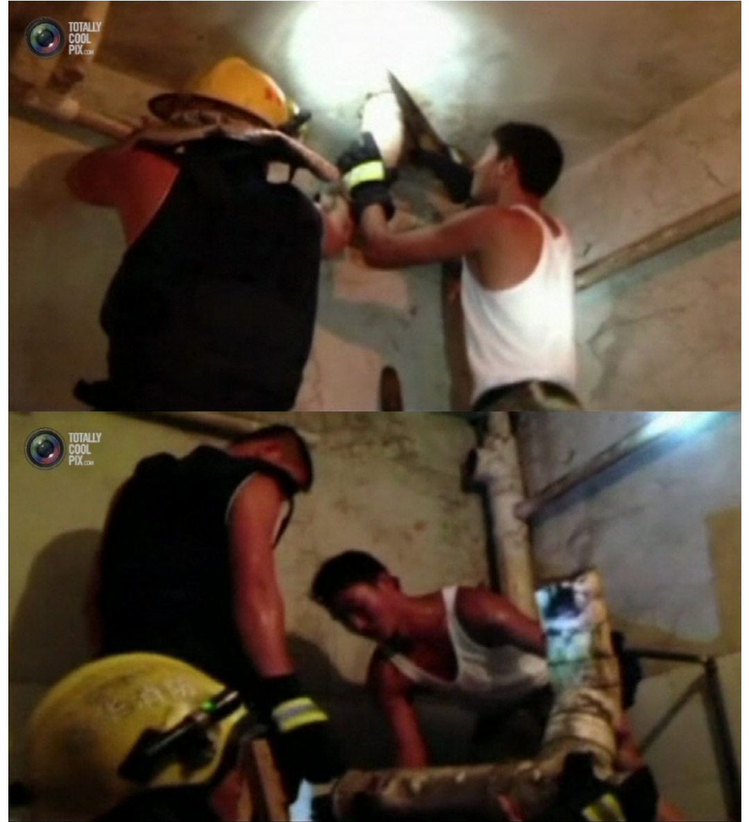 포스트의 이미지