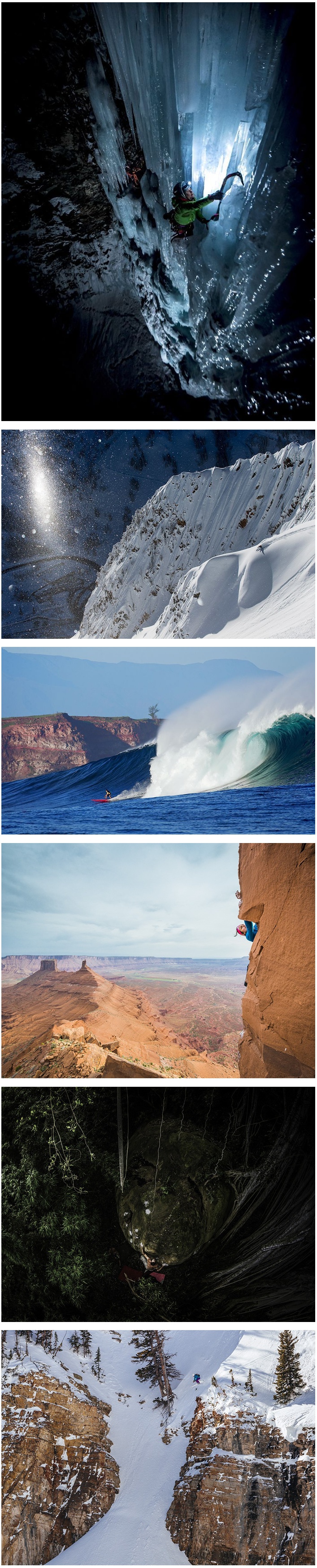 포스트의 이미지