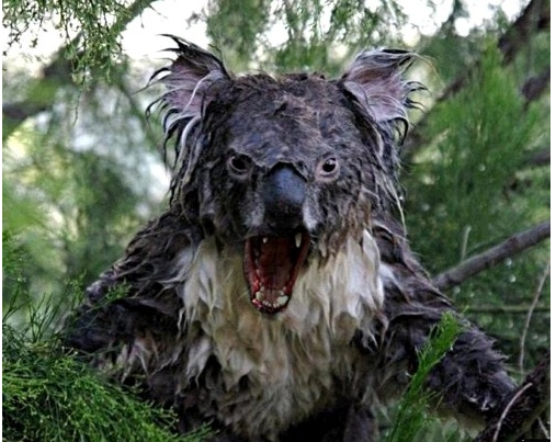 포스트의 이미지