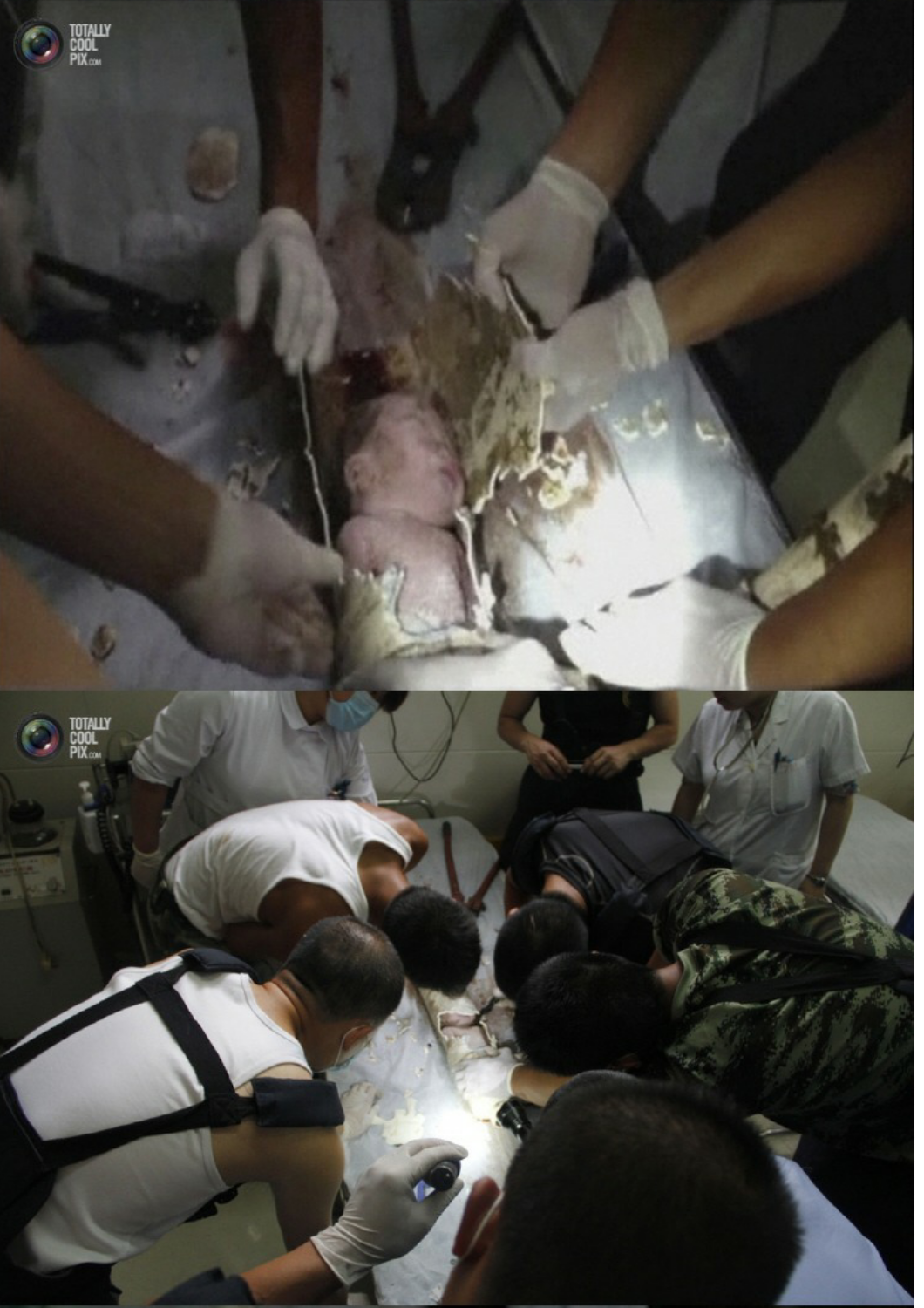 포스트의 이미지