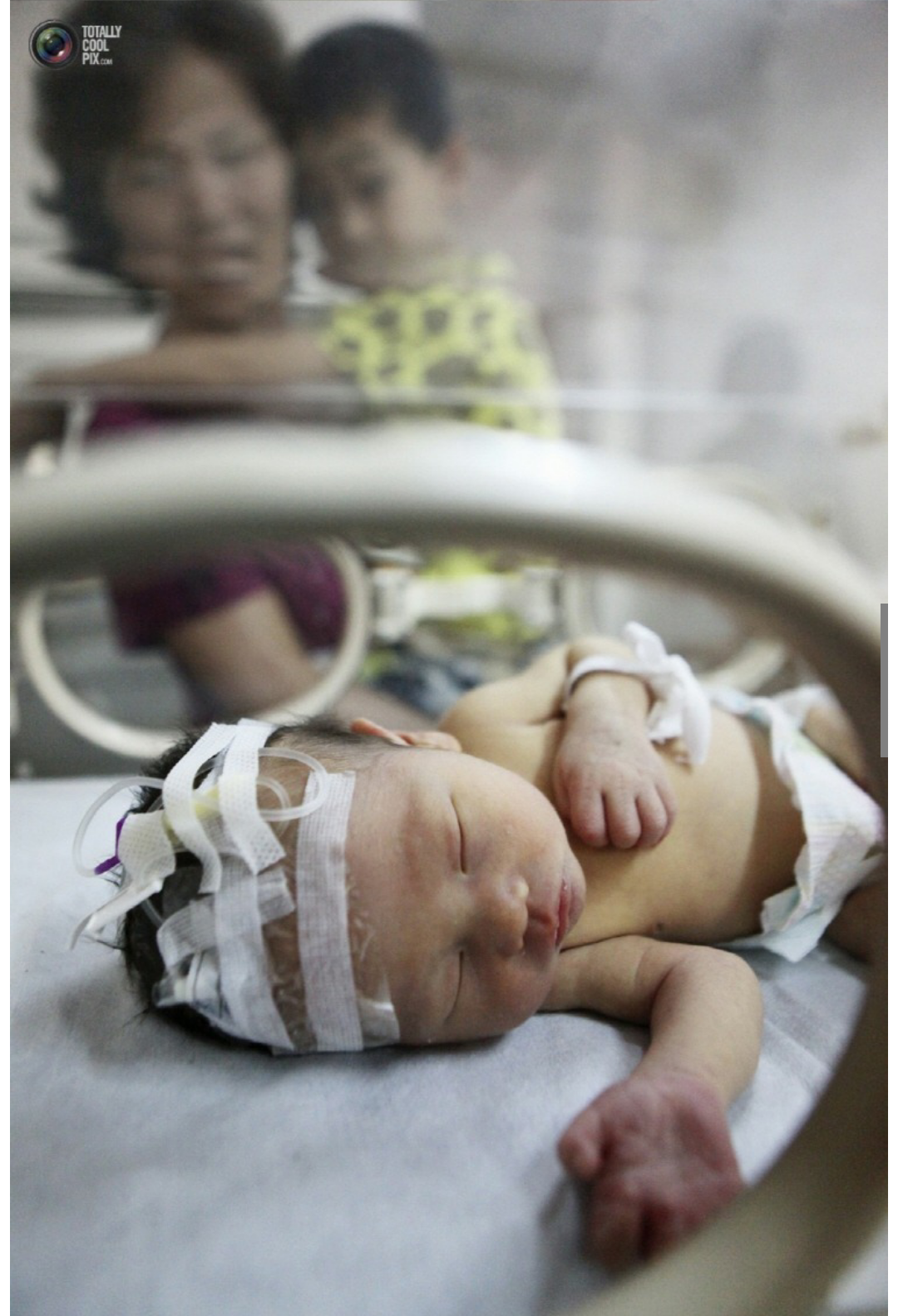 포스트의 이미지