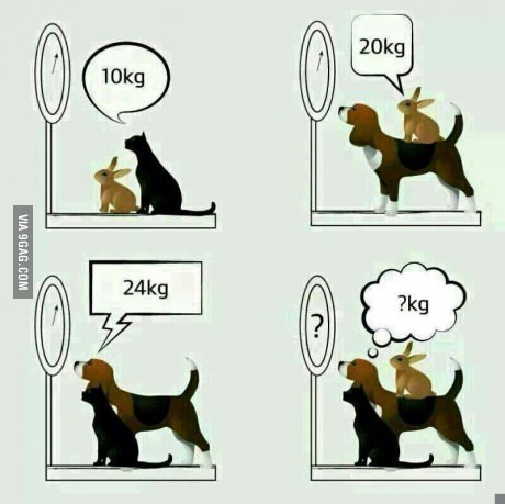 포스트의 이미지