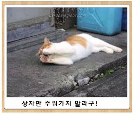 포스트의 이미지