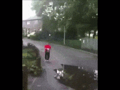 포스트의 이미지