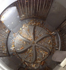 포스트의 이미지