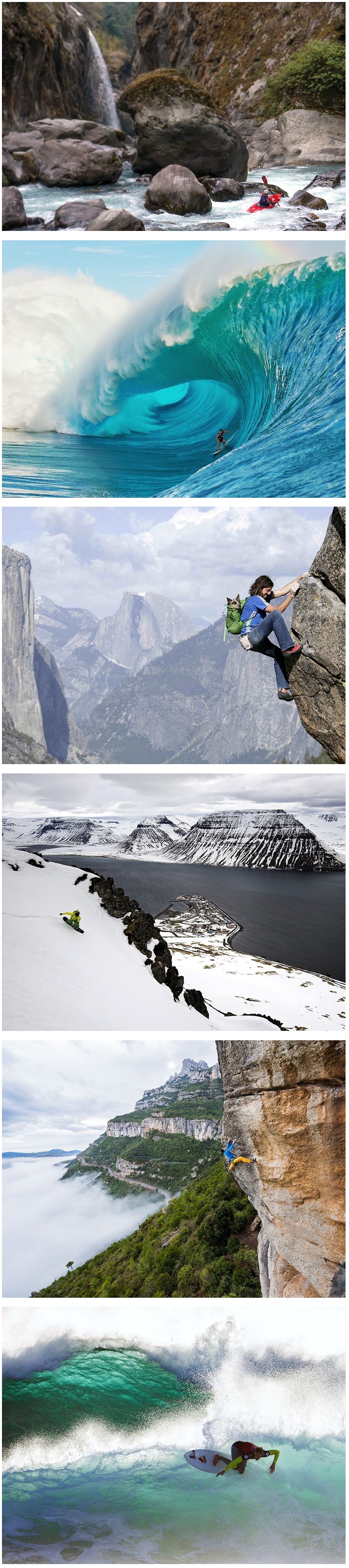 포스트의 이미지